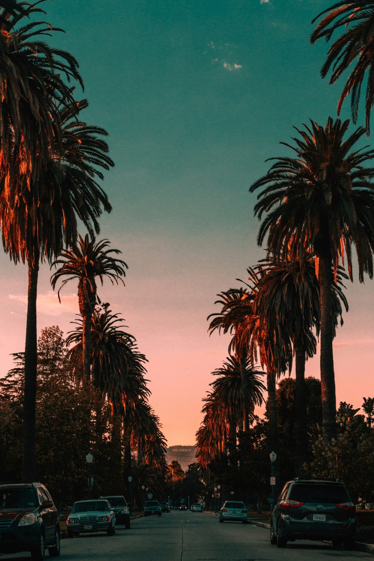 California road lined with palm trees at sunset