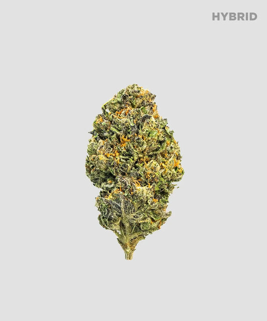 Imperial Extraction THCA flower Double Runtz with hybrid label