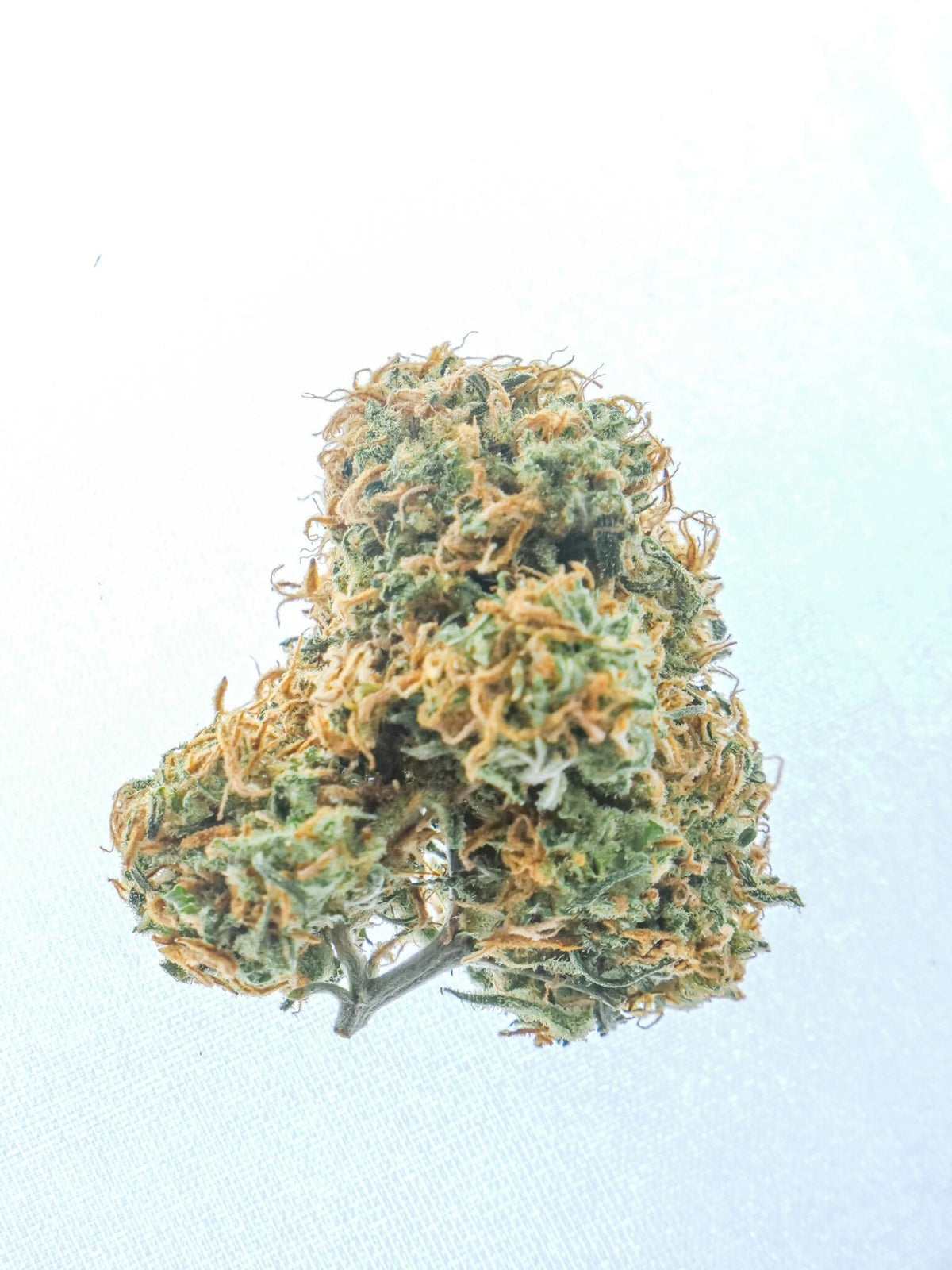 Close-up of premium cannabis bud