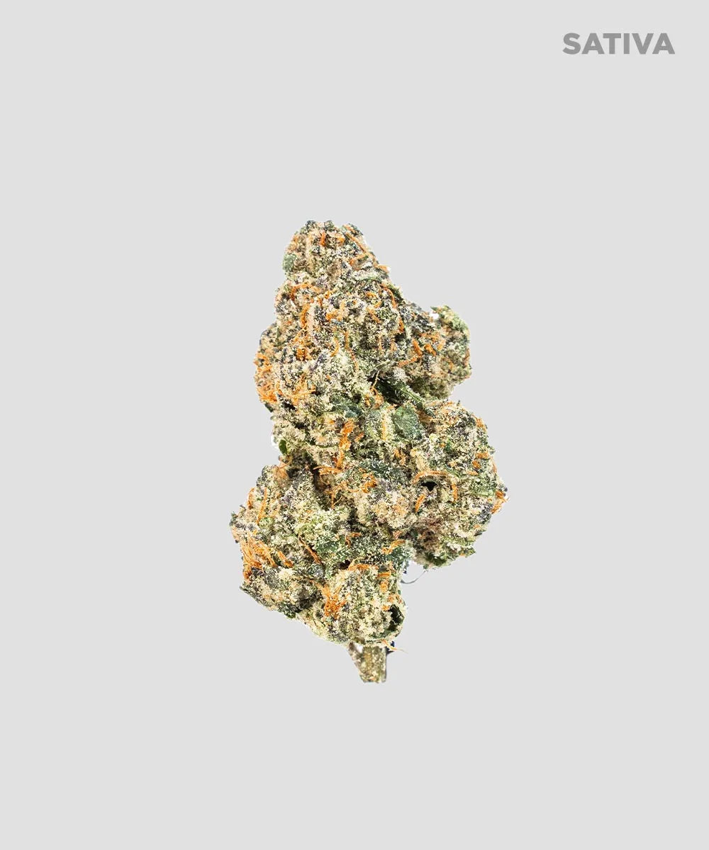ACAI SORBET THCA FLOWER