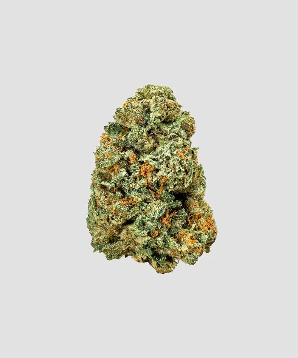 TRAINWRECK (FAKIES) – Imperial Extraction