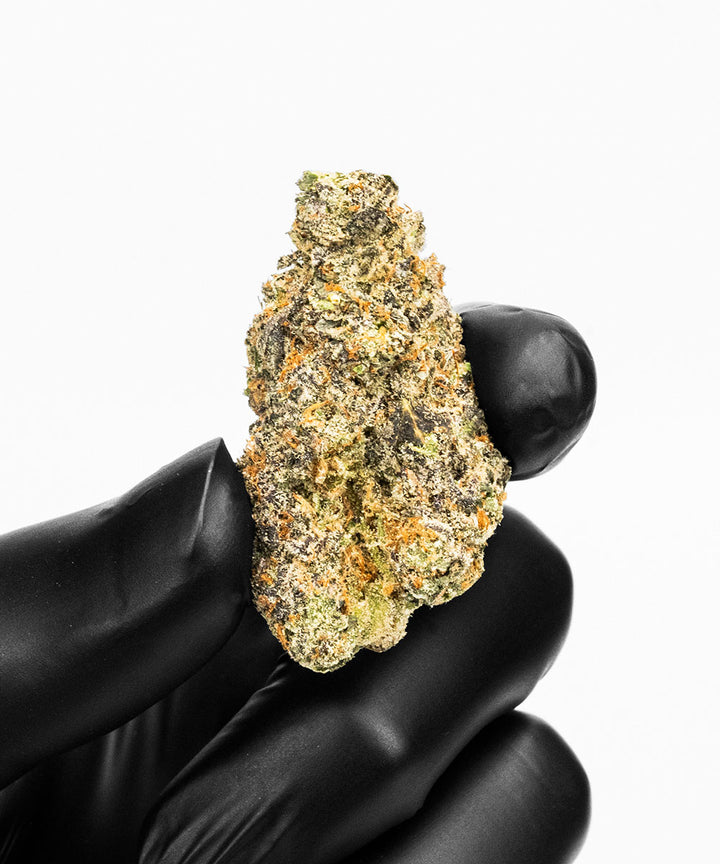 GREASY RUNTZ THCA FLOWER (ZAZA) – Imperial Extraction