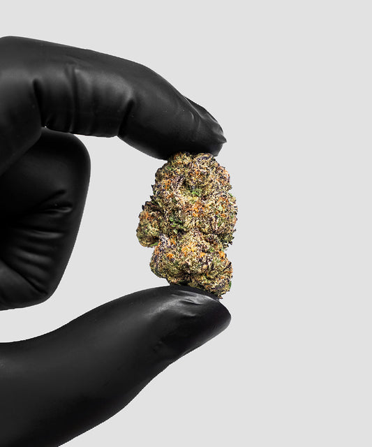 Imperial Extraction THCA Flower Icy crem cake being held in a hand with a black glove