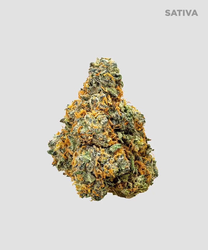 TRAINWRECK (FAKIES) – Imperial Extraction