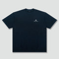  Dolphin Blue