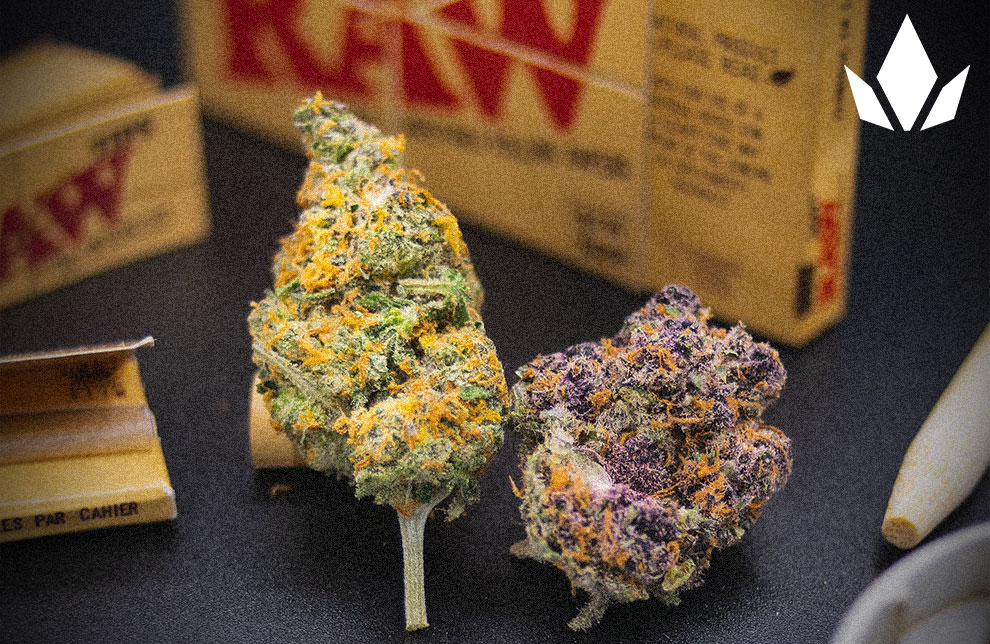 2 different marijuana buds with a box of RAW rolling papers behind them.