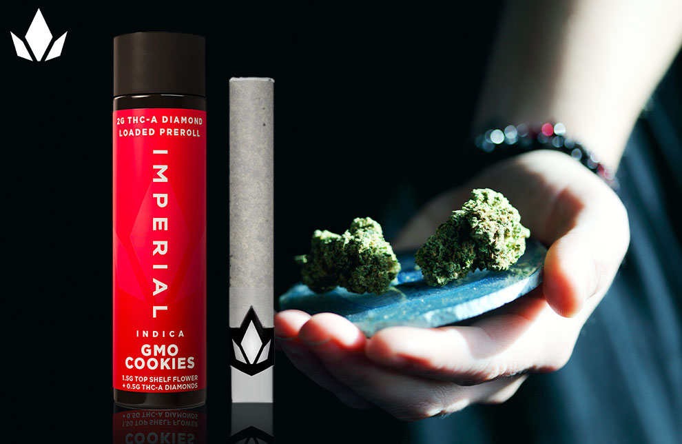 Woman with marijuana buds on her hand next to a THCA loaded preroll from Imperial.