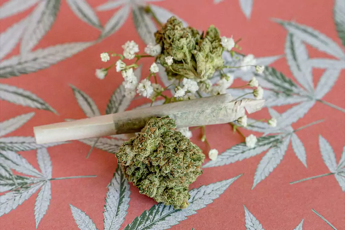 A joint surrounded by cannabis leaves and on a table cloth with little images of cannabis leaves.