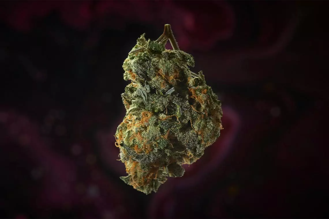 Picture of a cannabis nug.