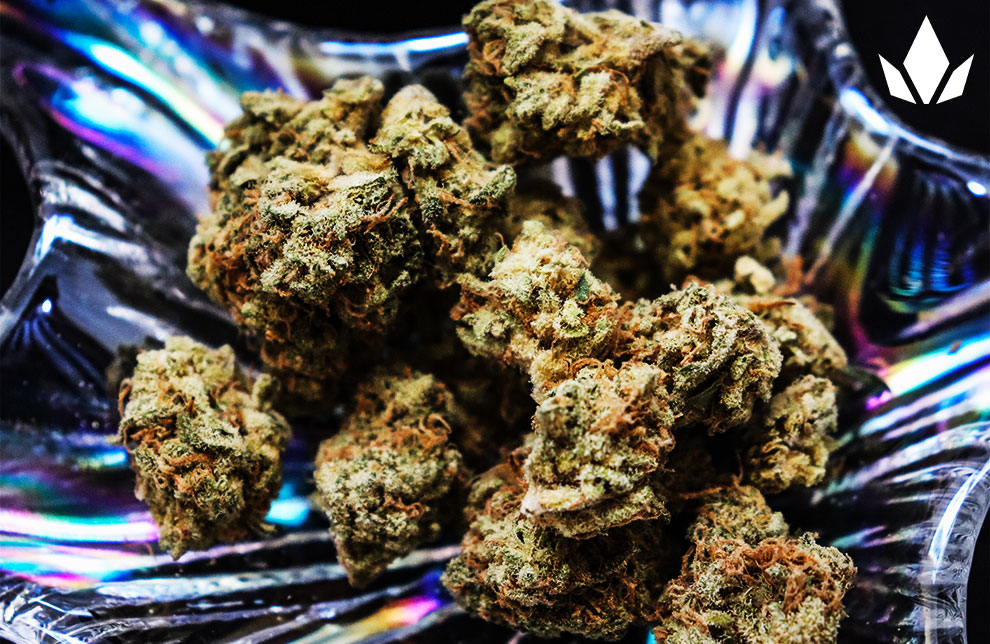Marijuana buds on a glass tray.