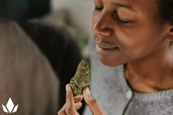 Person smelling a cannabis nug.