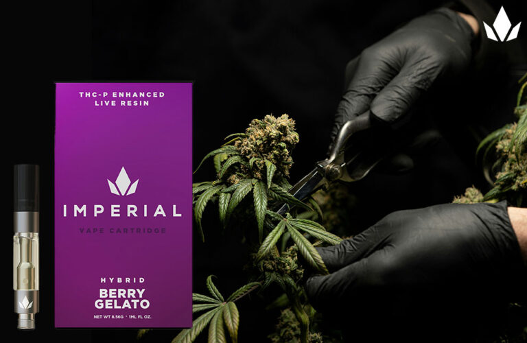 Best Gelato Strains Imperial Extraction