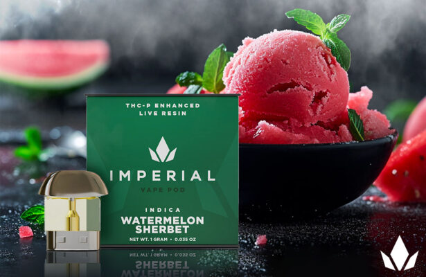 "Imperial Watermelon Sherbet Vape Pod on black surface, paired with a bowl of smashed watermelon