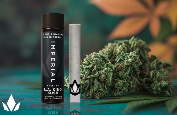 An Imperial THC-A diamond preroll with L.A. King Kush flavor is placed on a greenish surface along with a cannabis strain