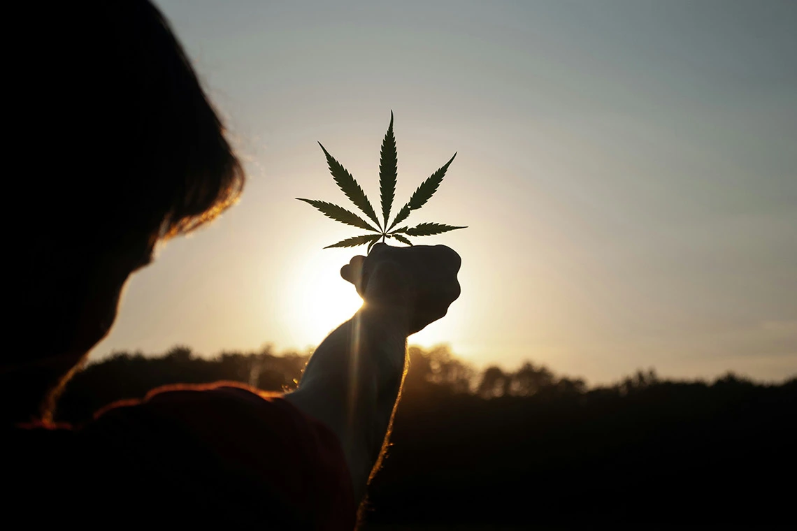 Person holding a cannabis leaf toward the sunset.