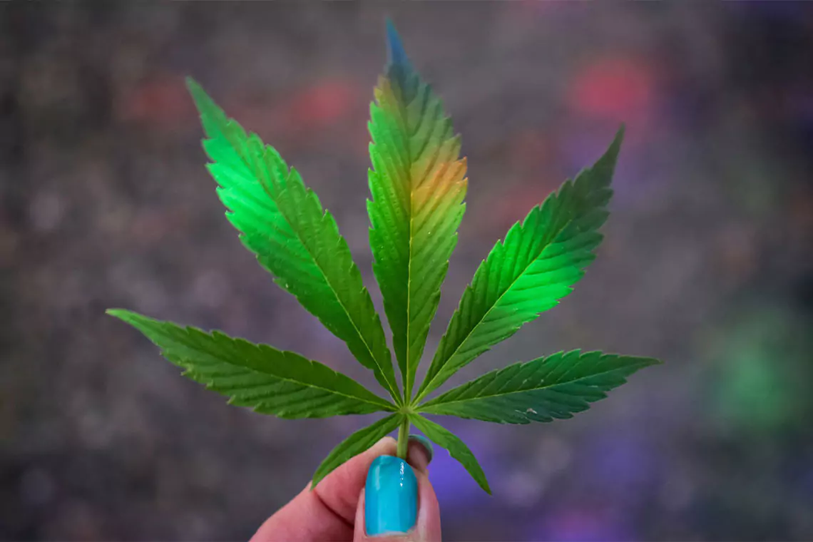 Someone holding a holographic cannabis leaf.