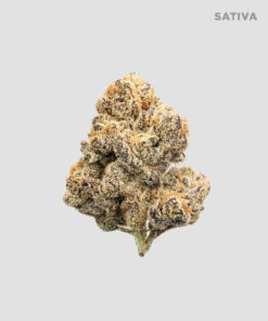 Imperial Extraction THCA flower Gush Mints Sativa