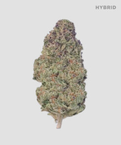 Imperial Extraction THCA flower Mr nasty hybrid