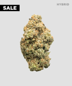 Imperial Extraction THCA flower oreoz hybrid, on sale