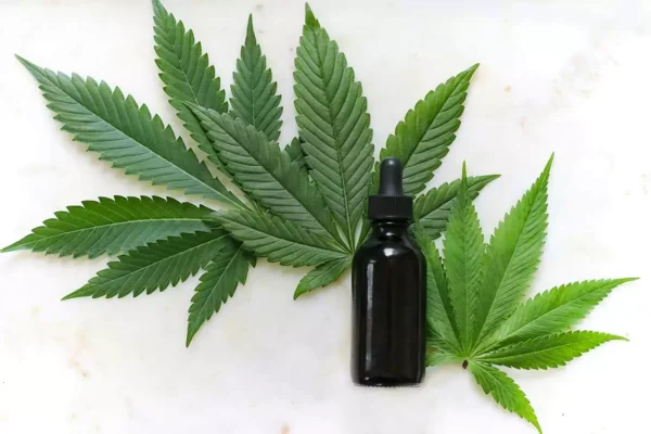 Cannabis leaves with oil tincture bottle next to them.