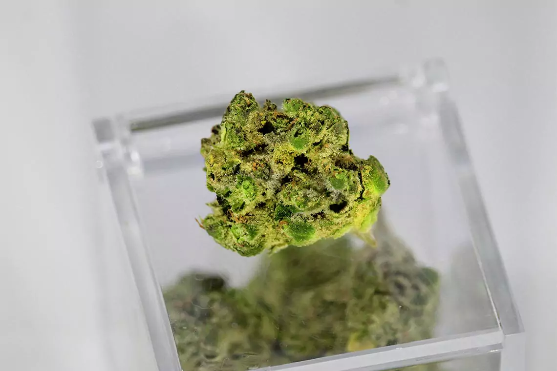 A cannabis bud on top of a glass pedestal.