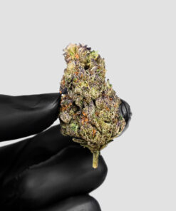 Imperial Extraction THCA Flower wedding cake being held in a hand with a black glove