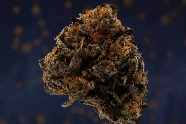 Cannabis nug image with a blue background.