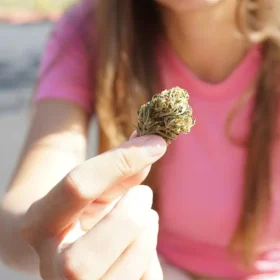 Woman with a pink shirt holding a cannabis nug.