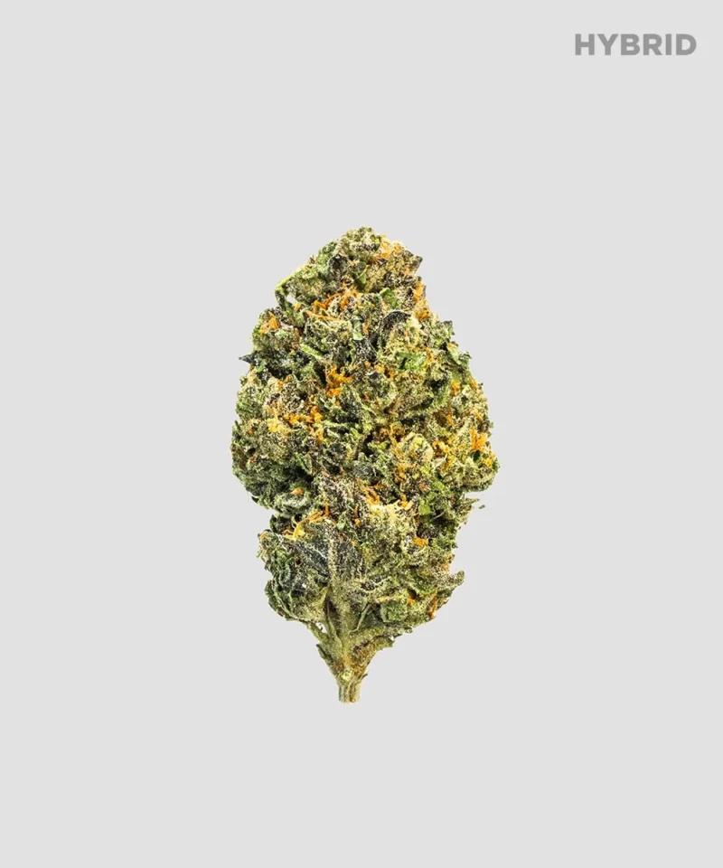 Imperial Extraction THCA flower Double Runtz with hybrid label