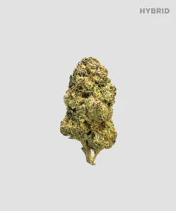 Imperial Extraction THCA flower gushers with Hybrid label