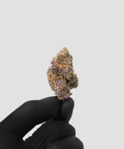 Imperial Extraction THCA flower 24 karat being held by a hand wearing a black glove.