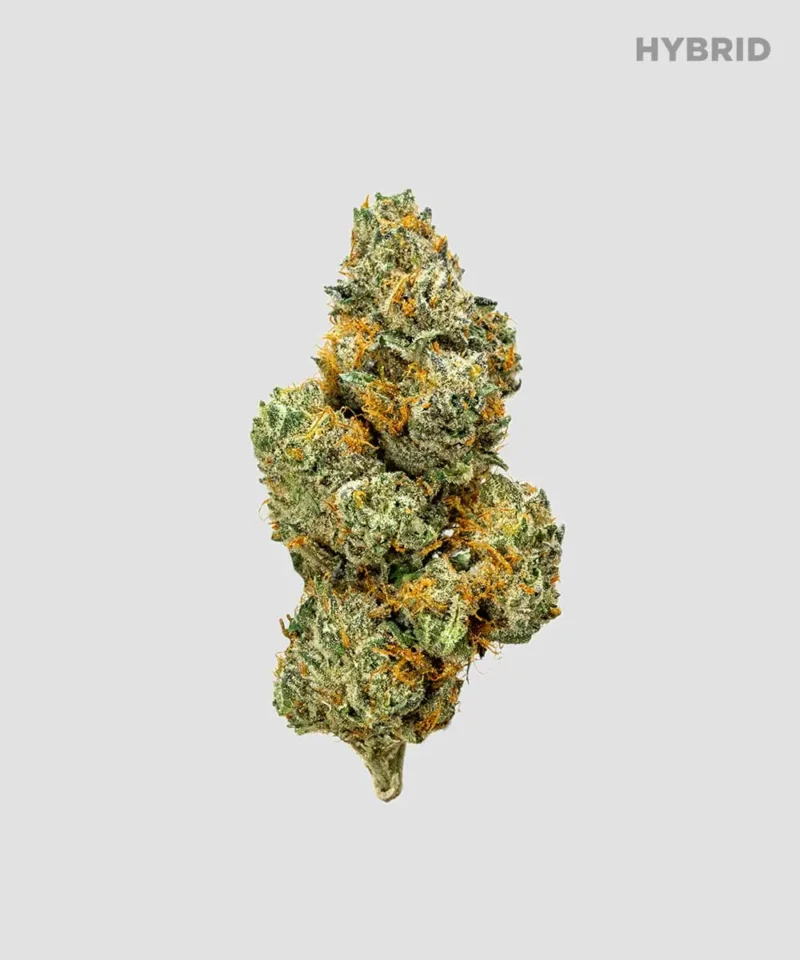 Imperial Extraction THCA flower Pineapple Express with hybrid icon.