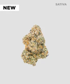 Imperial Extraction THCA flower white runtz with new sticker and sativa icon.