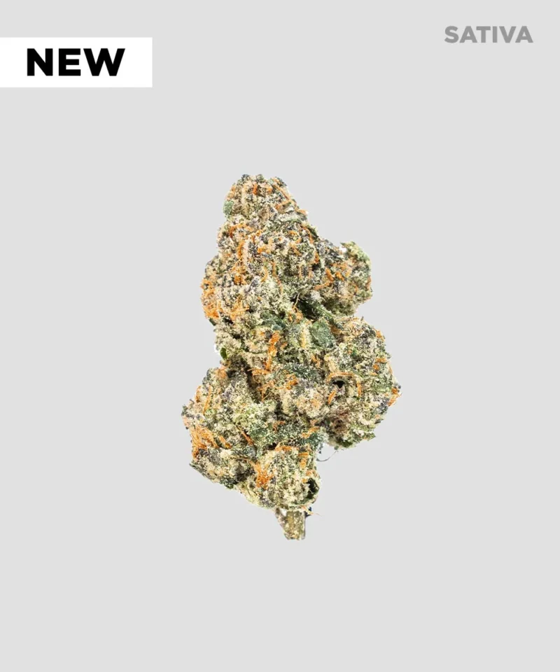 Imperial Extraction THCA flower acai sorbet with new sticker and hybrid icon.