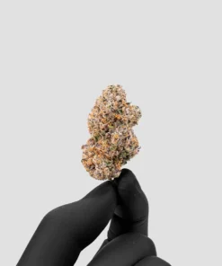 Imperial Extraction THCA flower blue nerds being held between two fingers wearing a black glove.