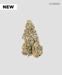 Imperial Extraction THCA flower Gelato 33 with new sticker and hybrid icon.